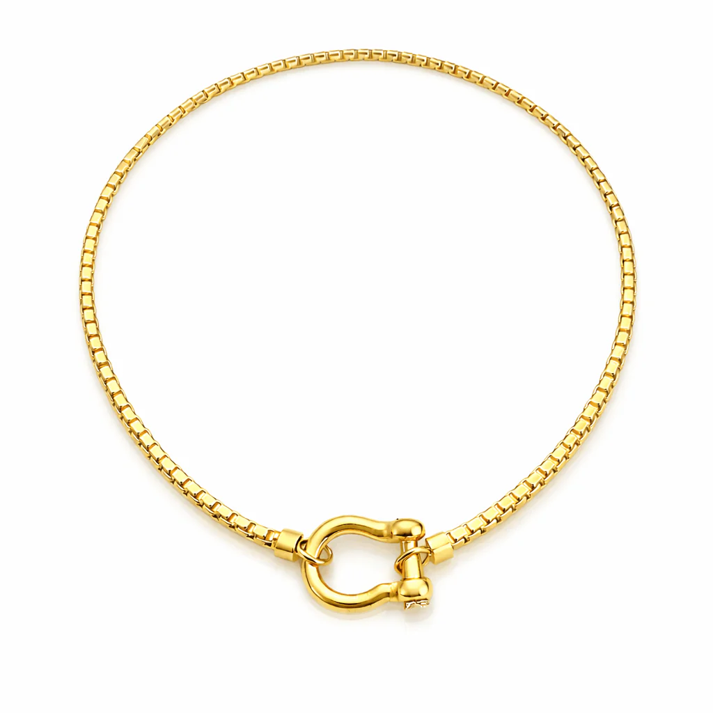 Women's Chain Necklace with Horseshoe Clasp