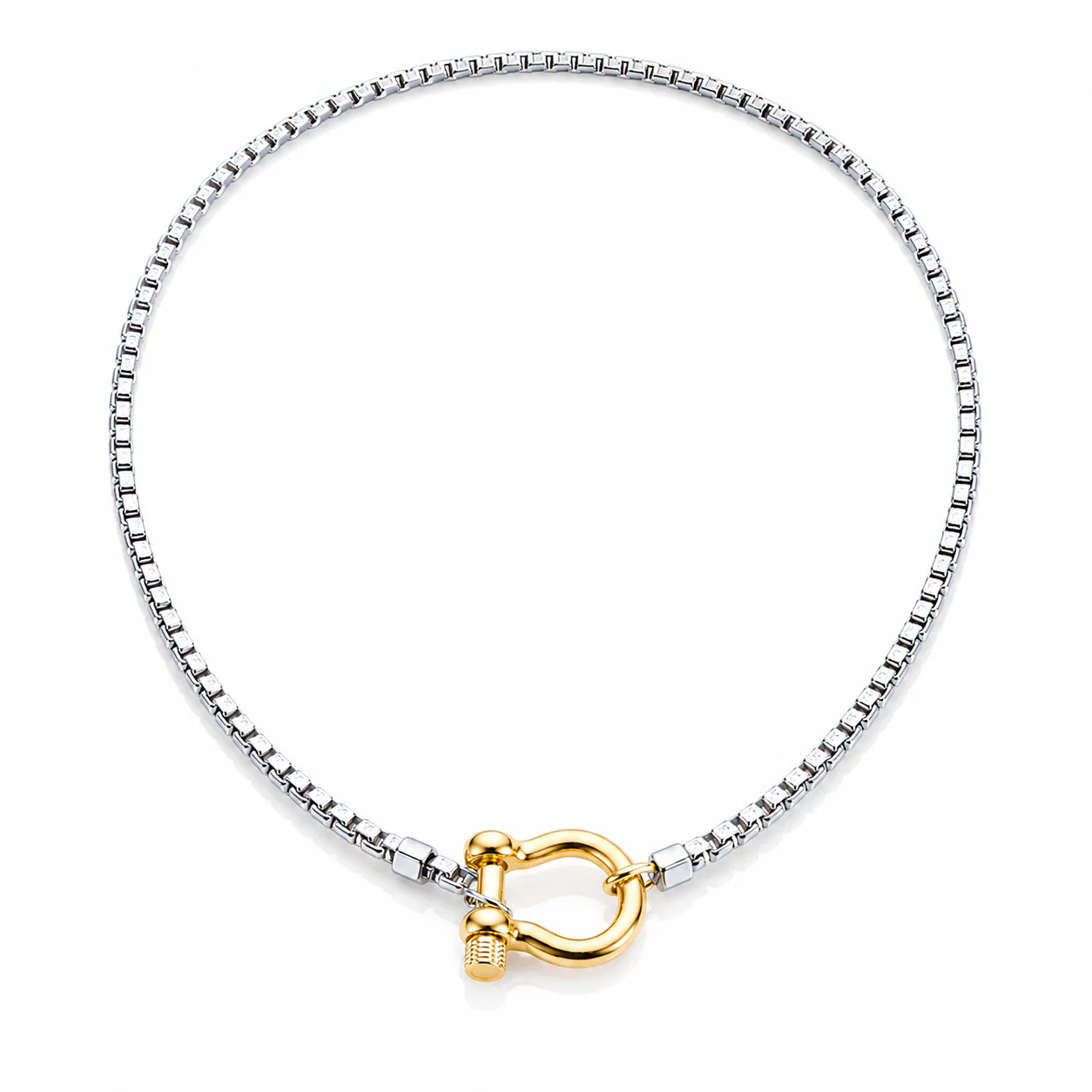 Women's Chain Necklace with Horseshoe Clasp